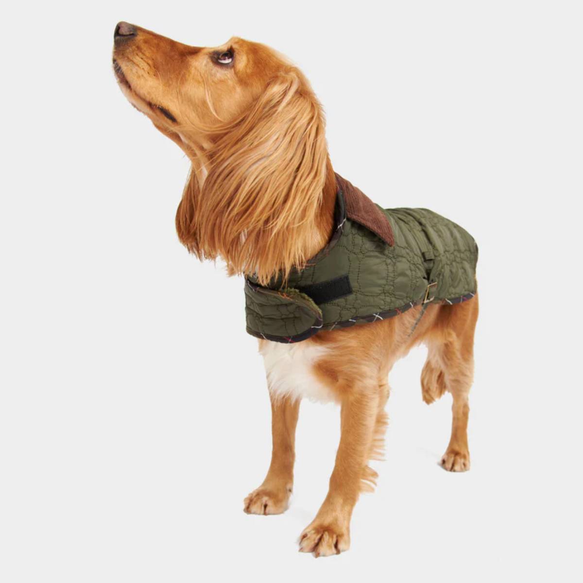 Dog Bone Quilted Dog Coat Dark Olive