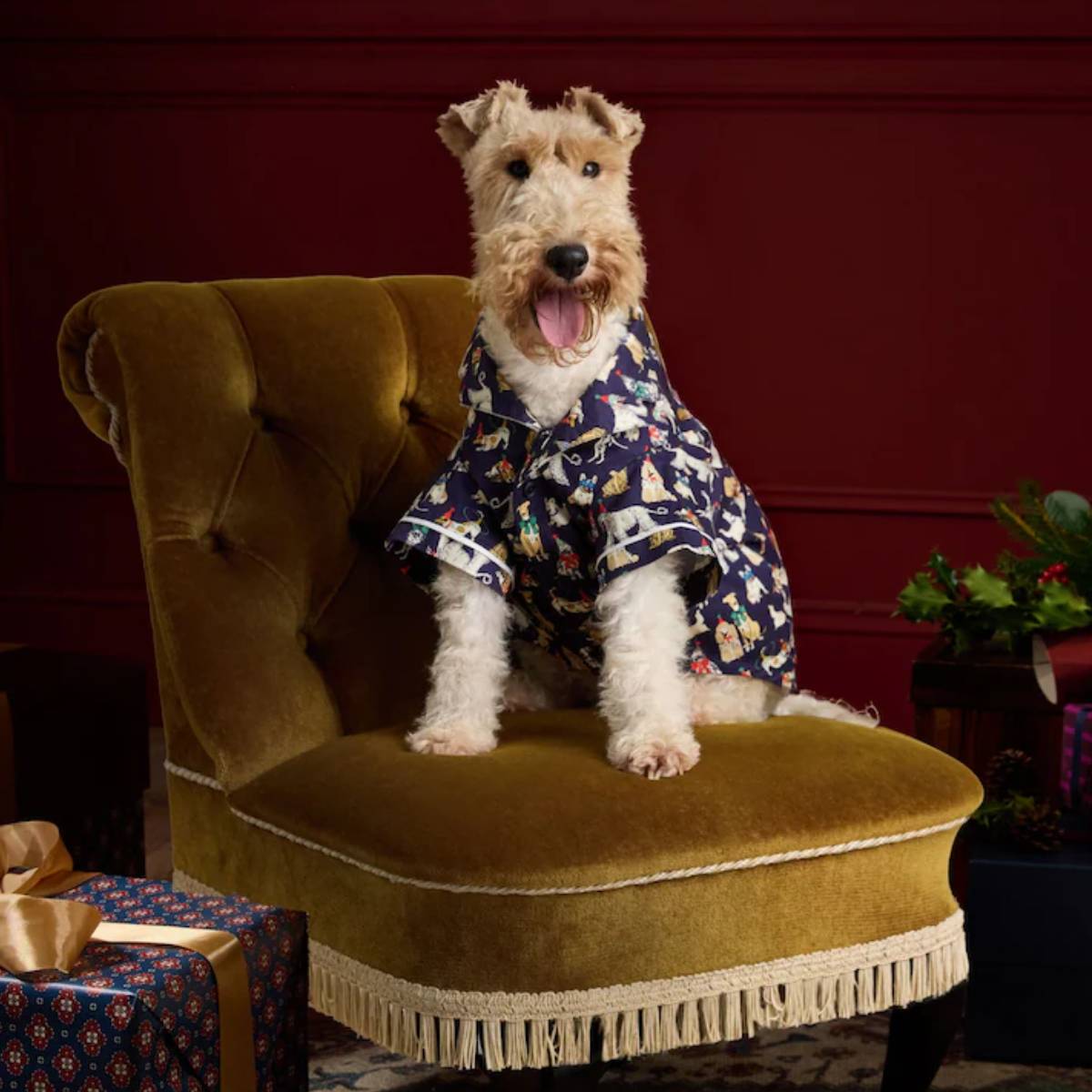 Navy Party Dogs Festive Dog Pyjamas