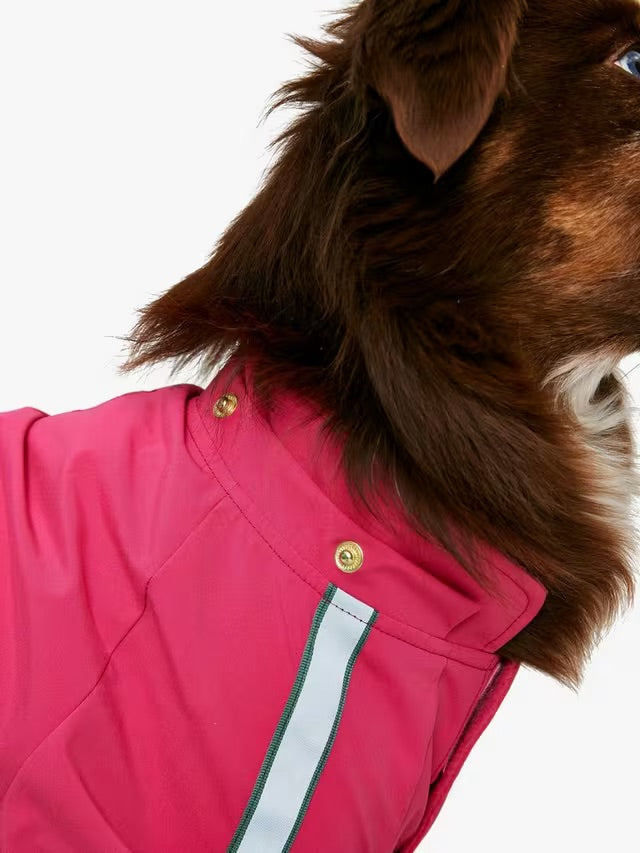 Lydford Water Resistant Reflective Dog Coat