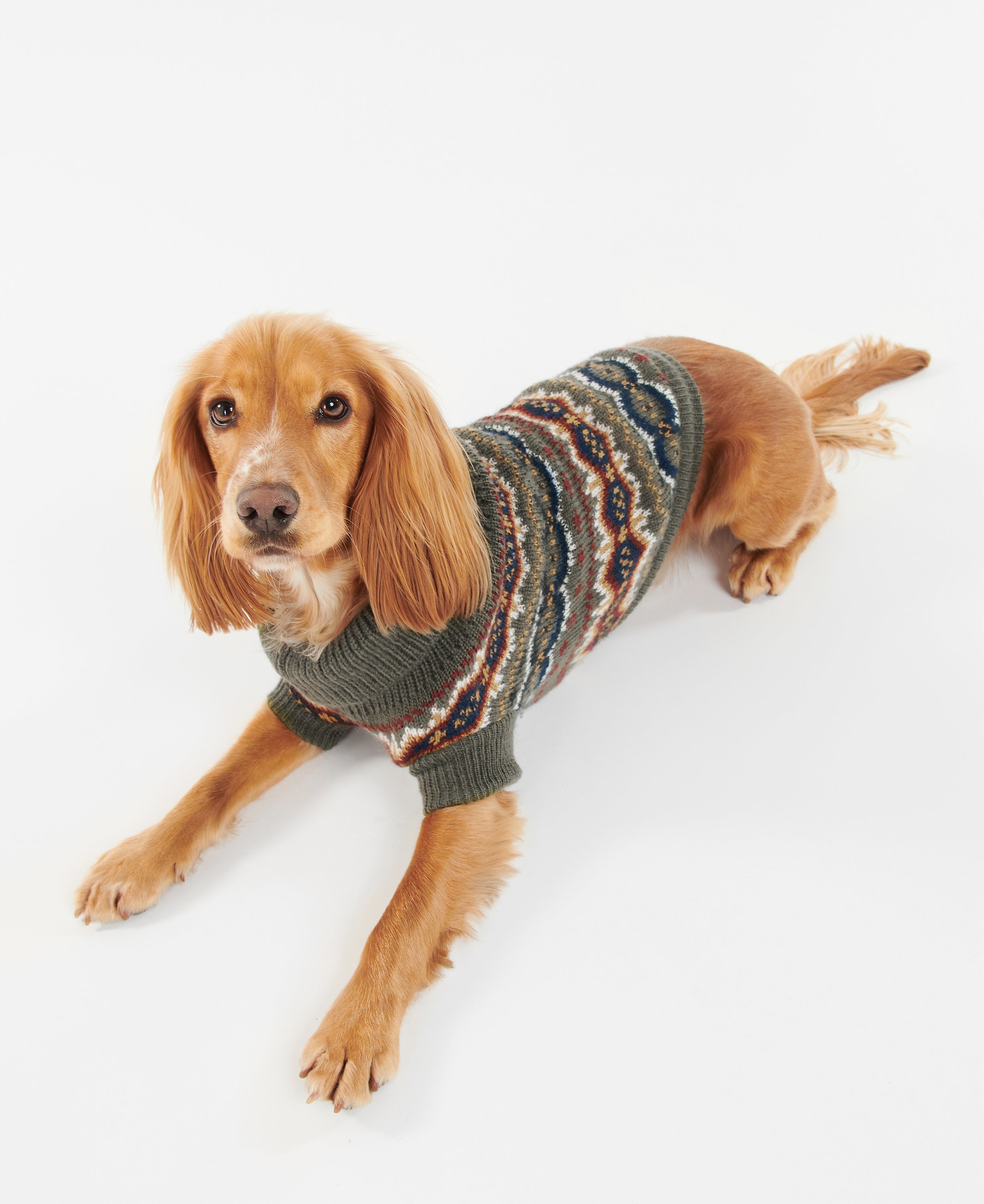 Dog Fairisle Jumper