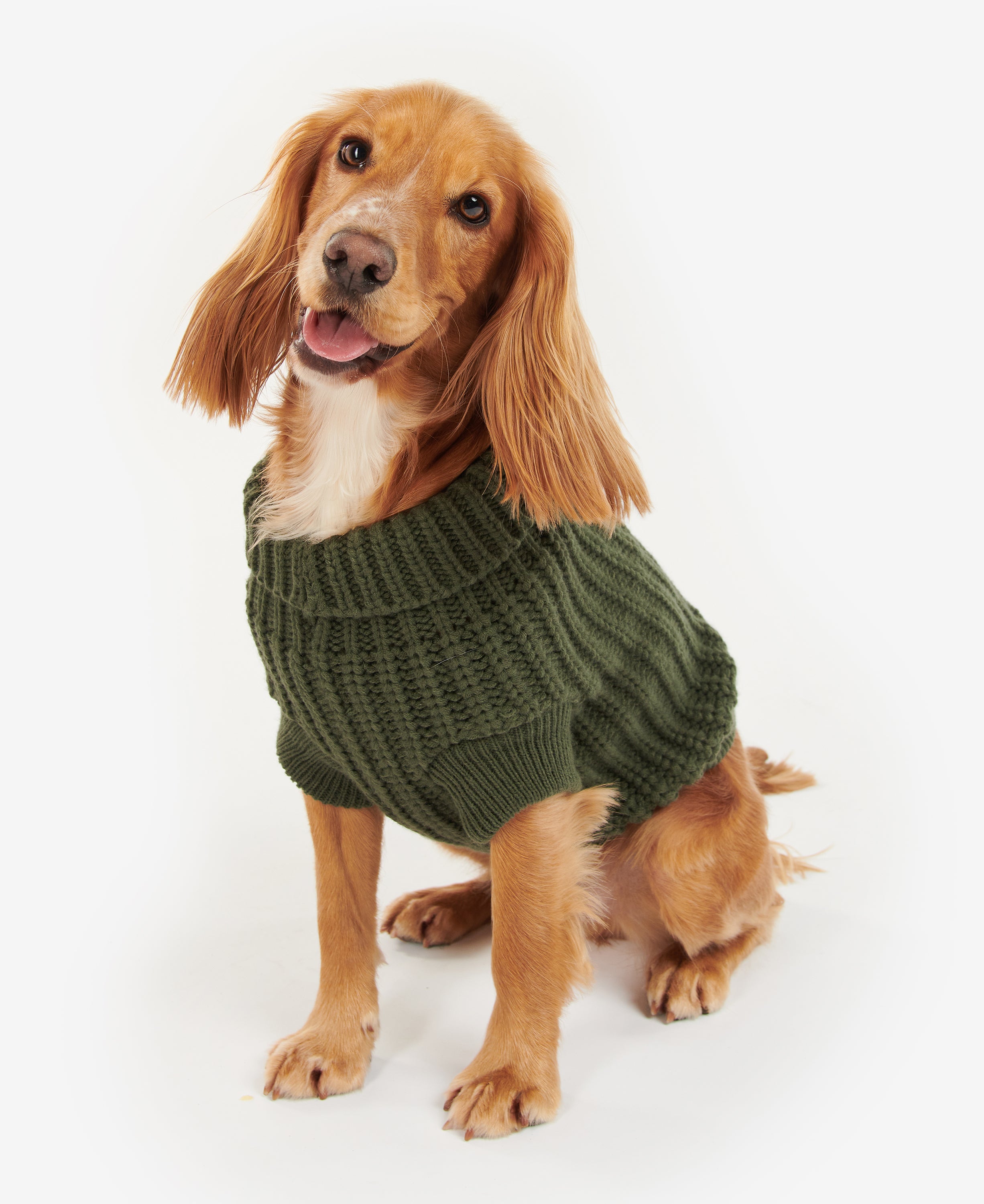 Dog Saltburn Jumper