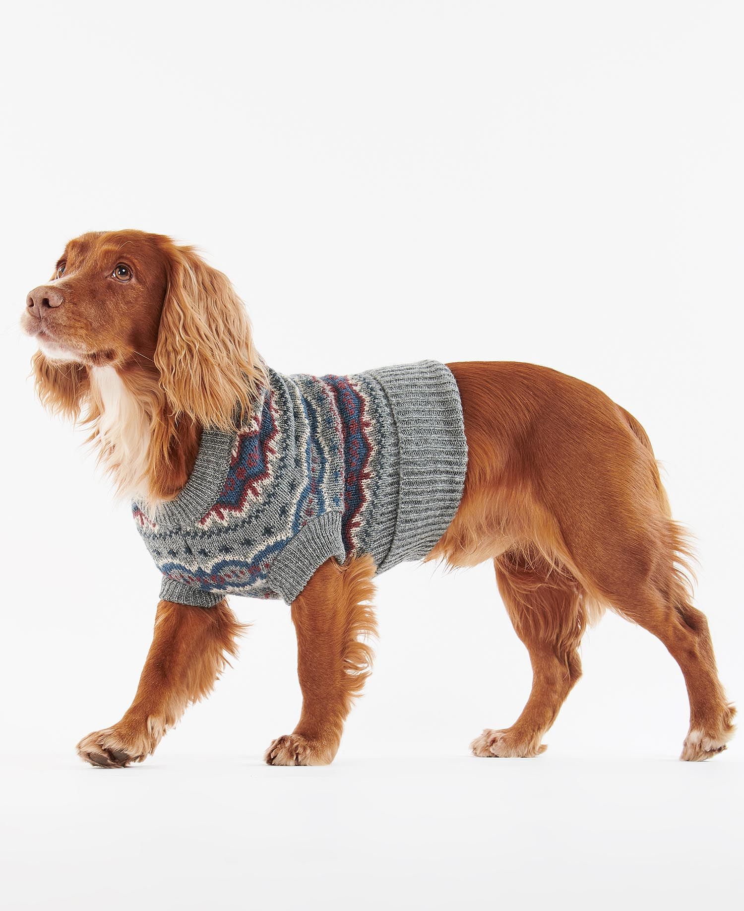 Dog Fairisle Jumper