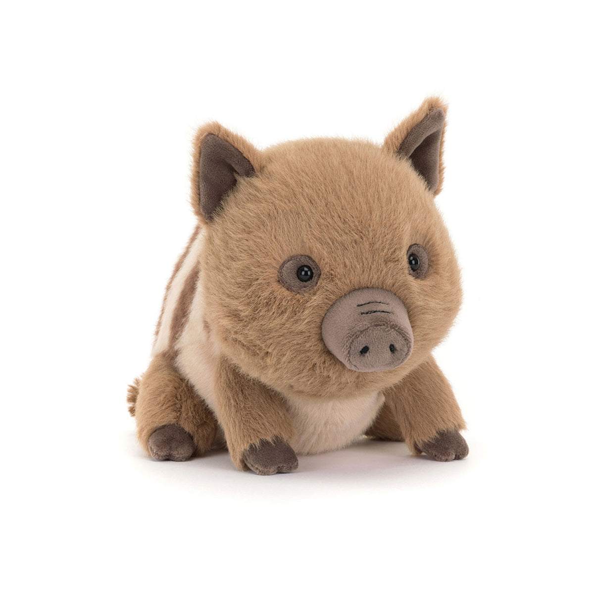 Swinley Boar
